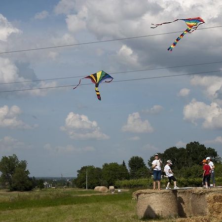 Agriturismo Bosco Del Fracasso Скандіано Екстер'єр фото